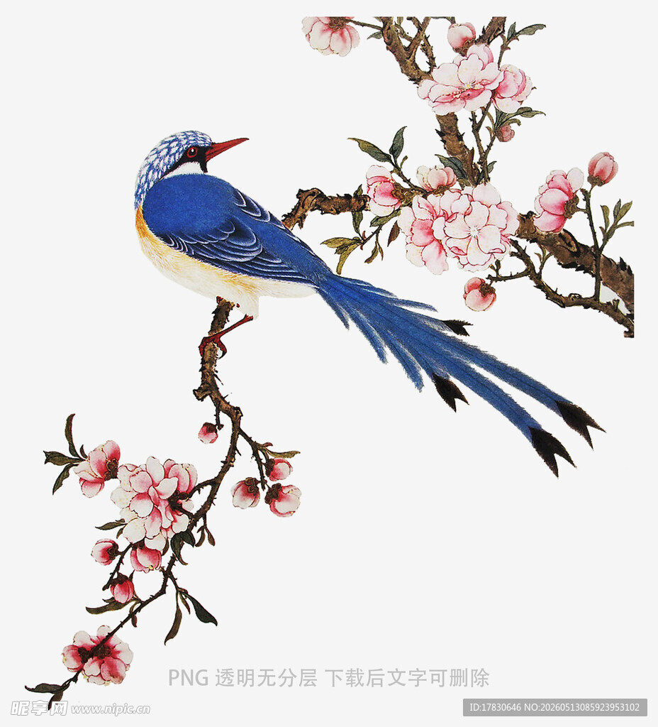 蓝鸟栖于盛开桃花枝上
