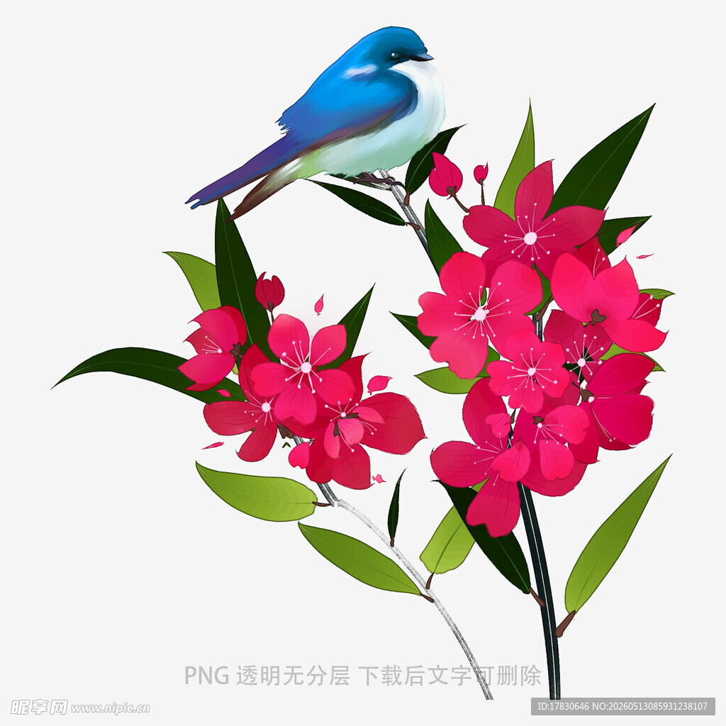 蓝鸟栖于艳丽花枝间
