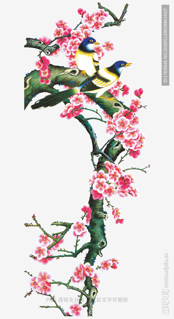 枝头繁花伴飞鸟