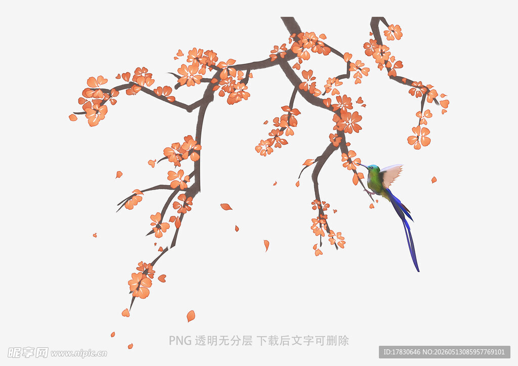 枝头繁花伴飞鸟