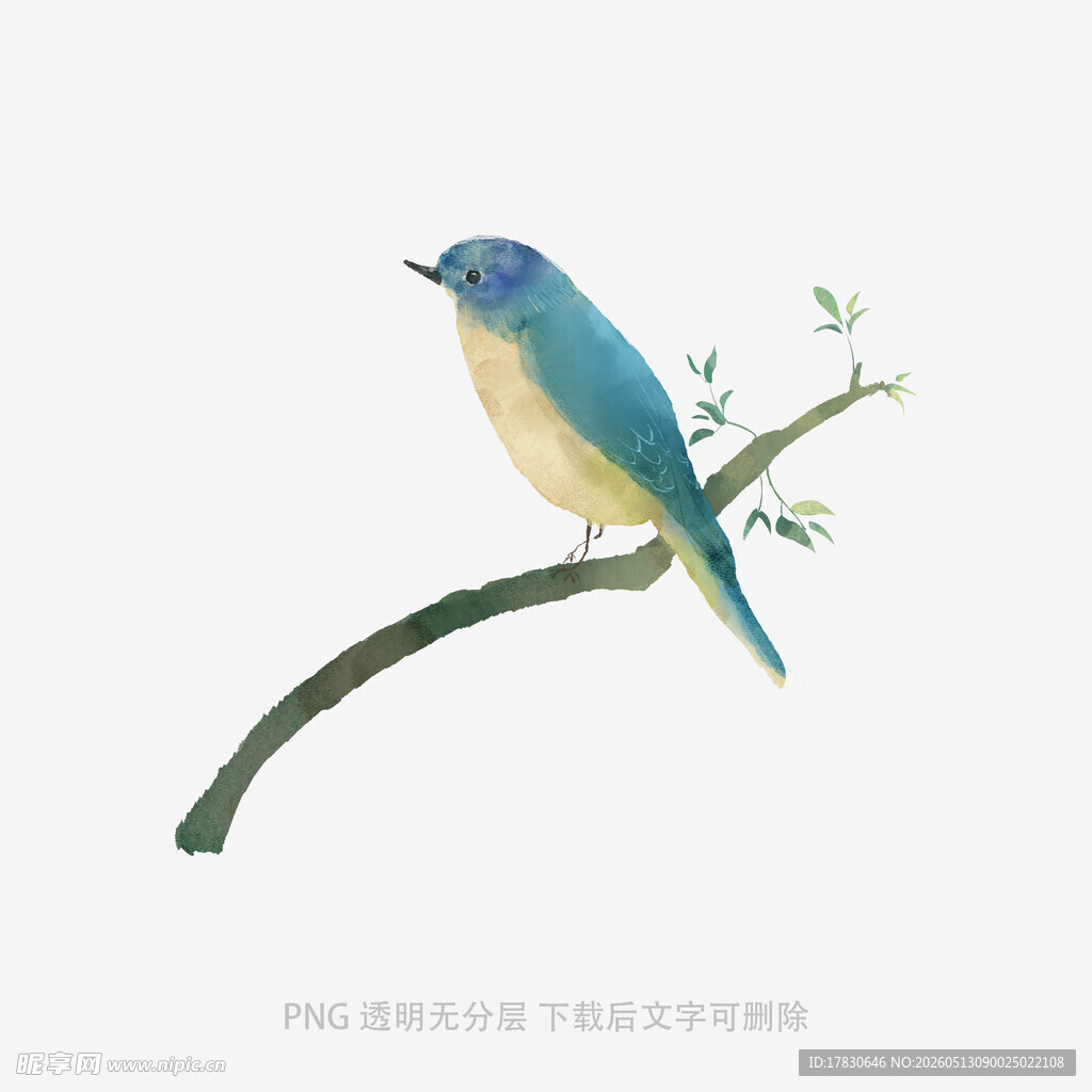 枝头蓝黄小鸟插画