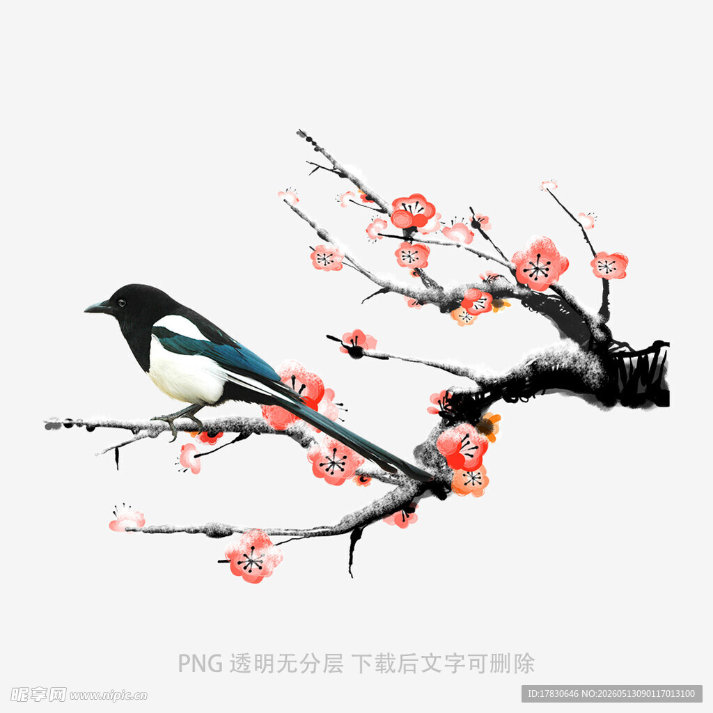 枝头喜鹊闹春