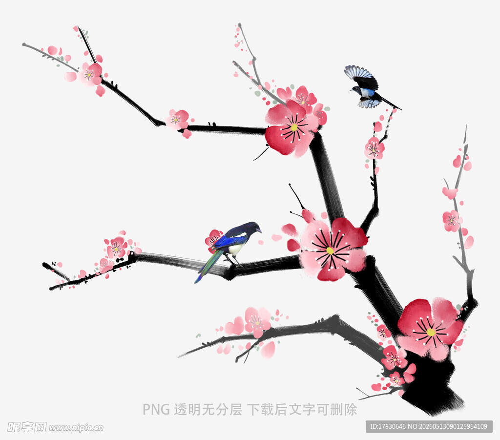 梅花枝头双鸟图