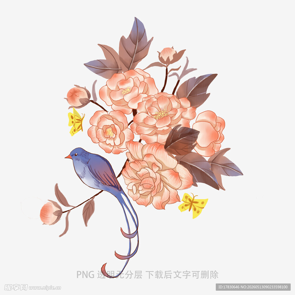 花鸟