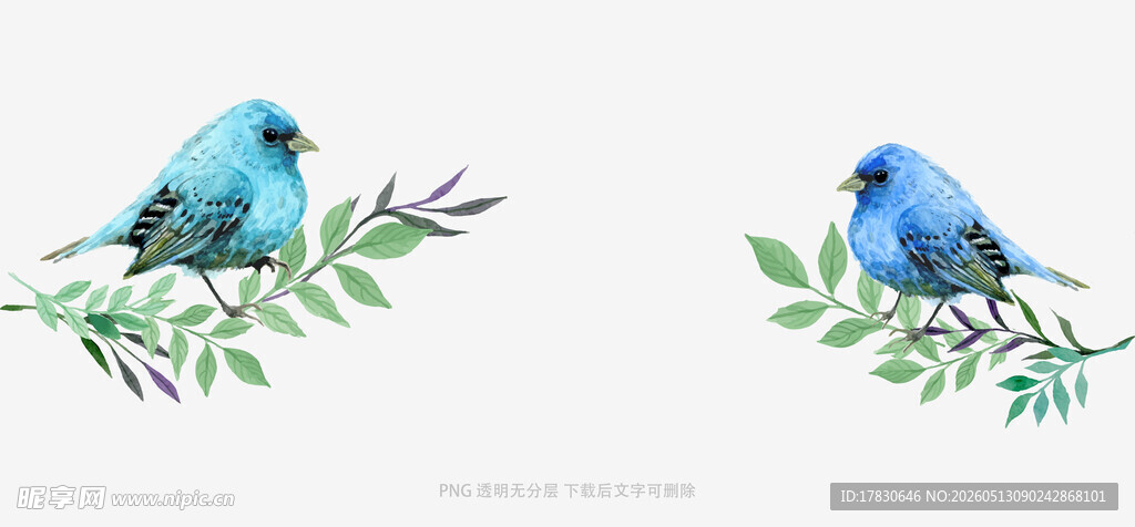 枝头双蓝鸟