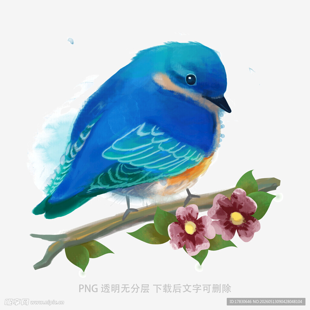 蓝鸟栖枝赏繁花