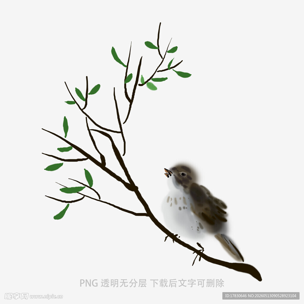 枝头小鸟图