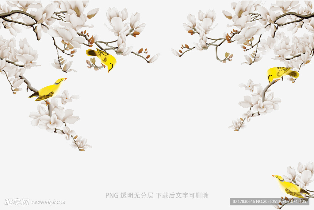 枝头黄雀伴白花