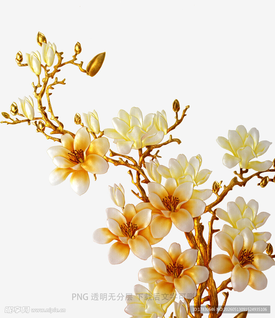 玉兰花枝装饰图