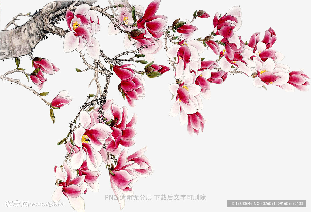 水墨风绽放的娇艳花枝