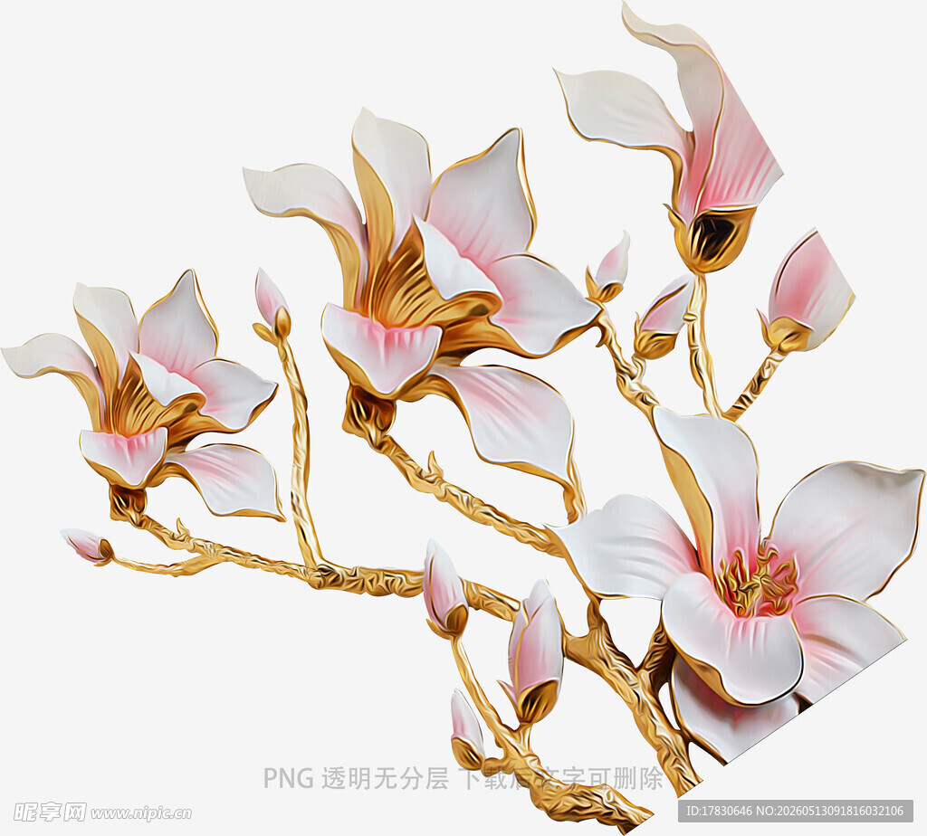 玉兰花枝立体装饰图案