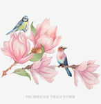 玉兰花枝上的双鸟