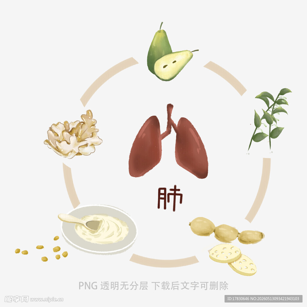 润肺食材环绕肺部示意图