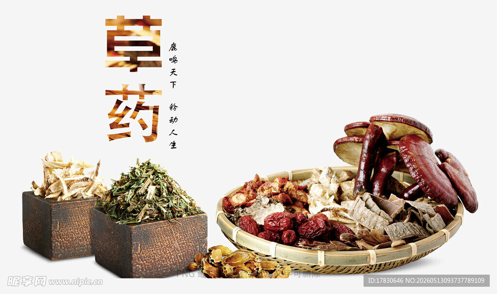 传统草药展示