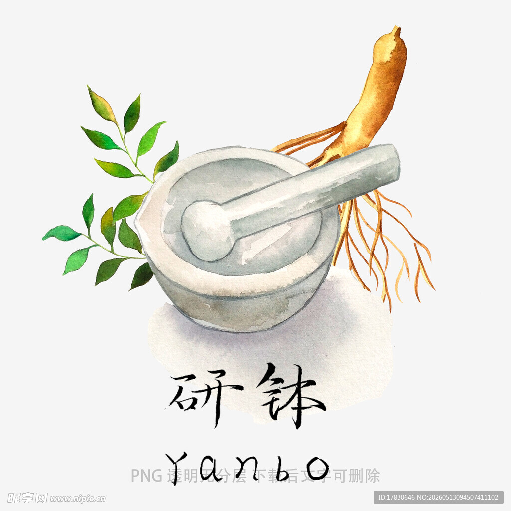传统研钵与新鲜人参