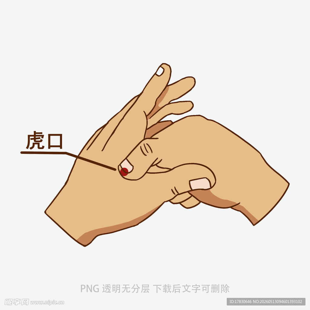 虎口位置示意