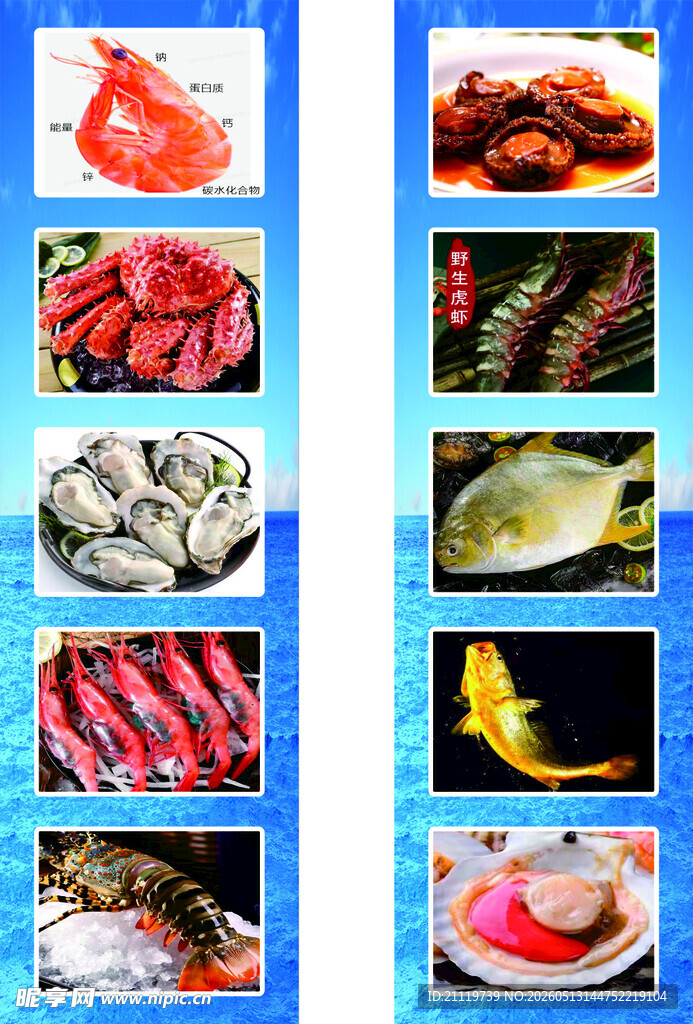 多样海鲜美食展示