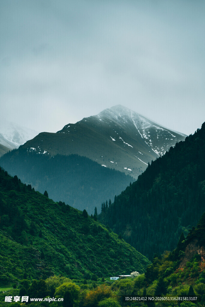 山间云雾缭绕的翠绿山峦