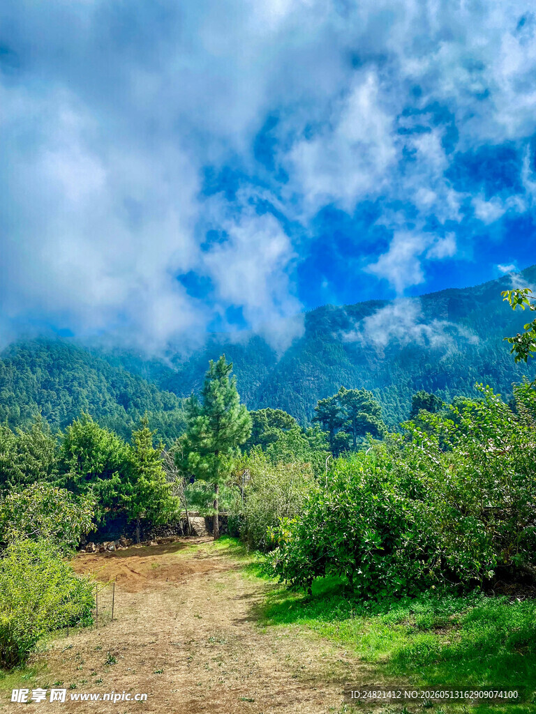 山间小径绿意盎然的美景