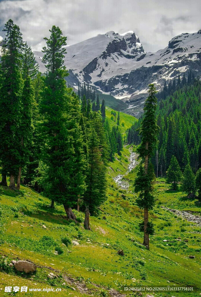 山间绿野与巍峨雪山美景