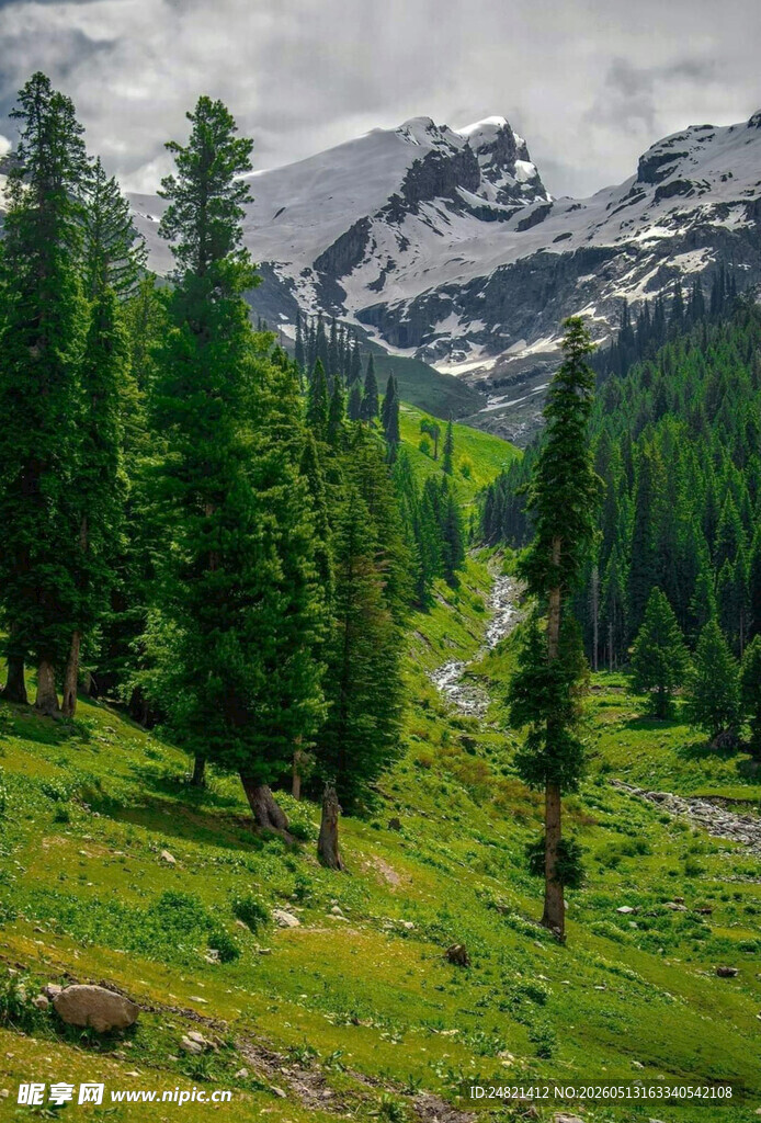 山间翠谷中的秀丽山林景色