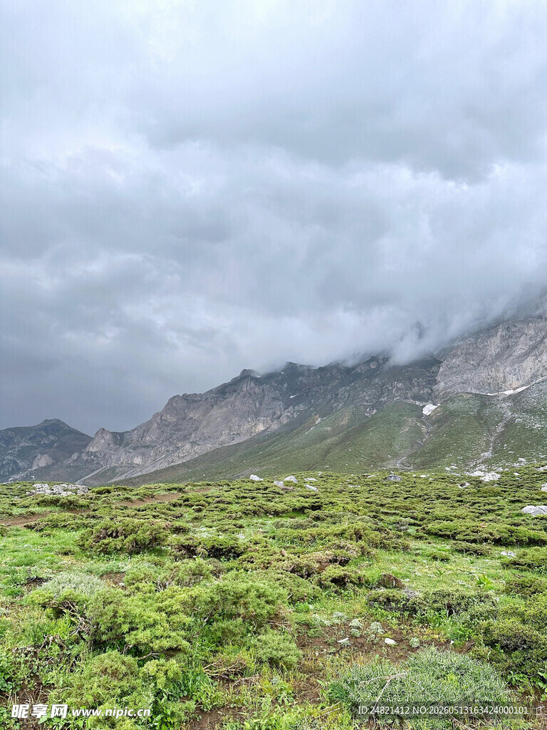 云雾笼罩下的山间绿地