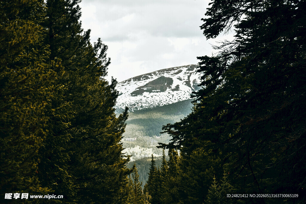 山林间远眺雪山美景
