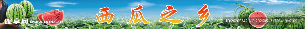 夏日水果 西瓜 瓜田 