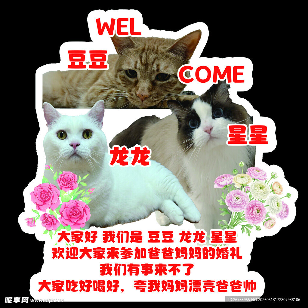 欢迎来到宠物天堂