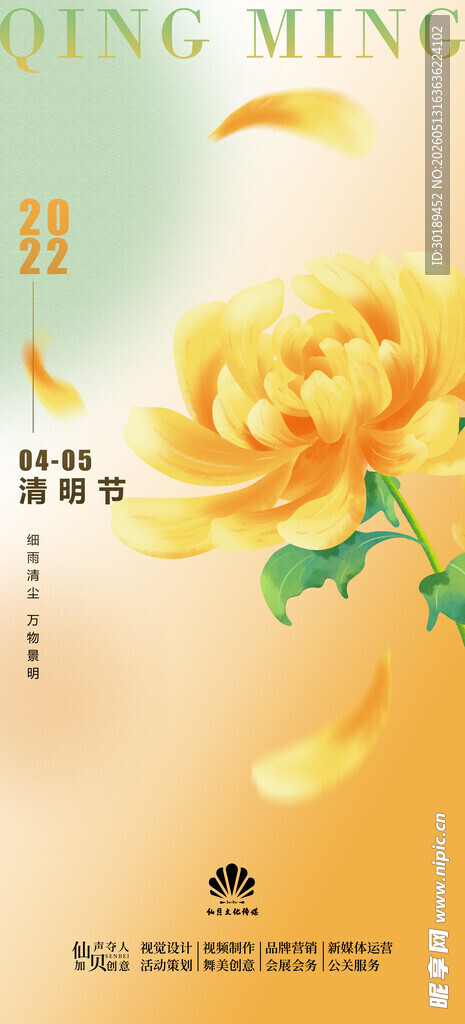 春日绽放的明艳黄牡丹