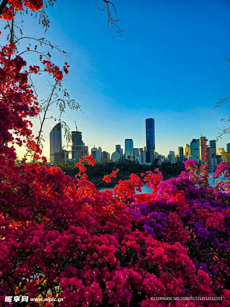 城市花海间的绚烂景致