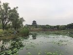 湖畔楼阁