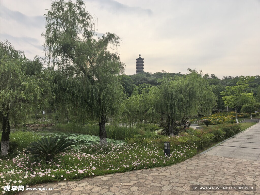 公园小路