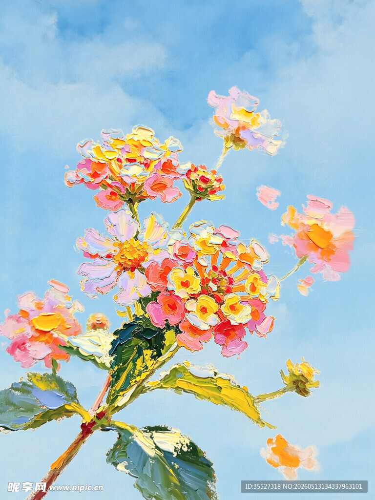 娇艳多彩花卉绽放蓝天