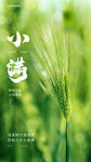 小满