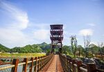 炭河千古情景区吊桥美景
