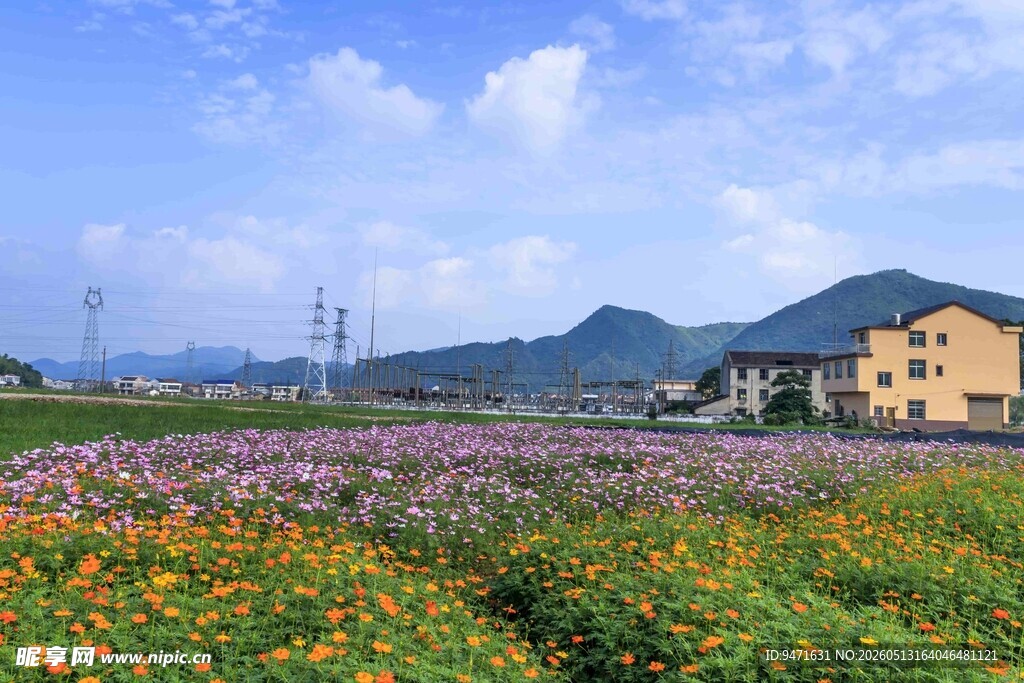 炭河千古情田园花海美景