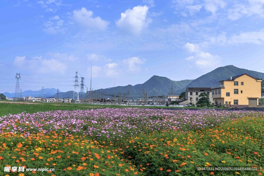 炭河千古情周边田园花海