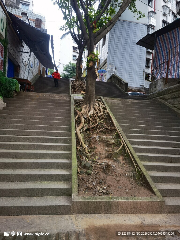 城市中阶梯旁的绿植景观