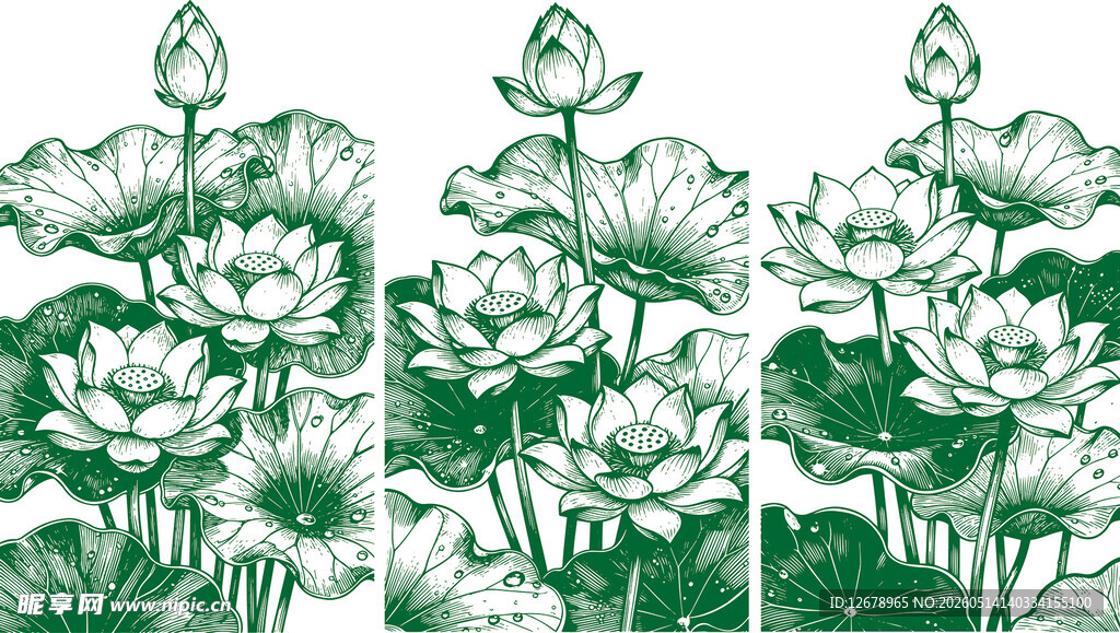 中式荷花植物线描图案