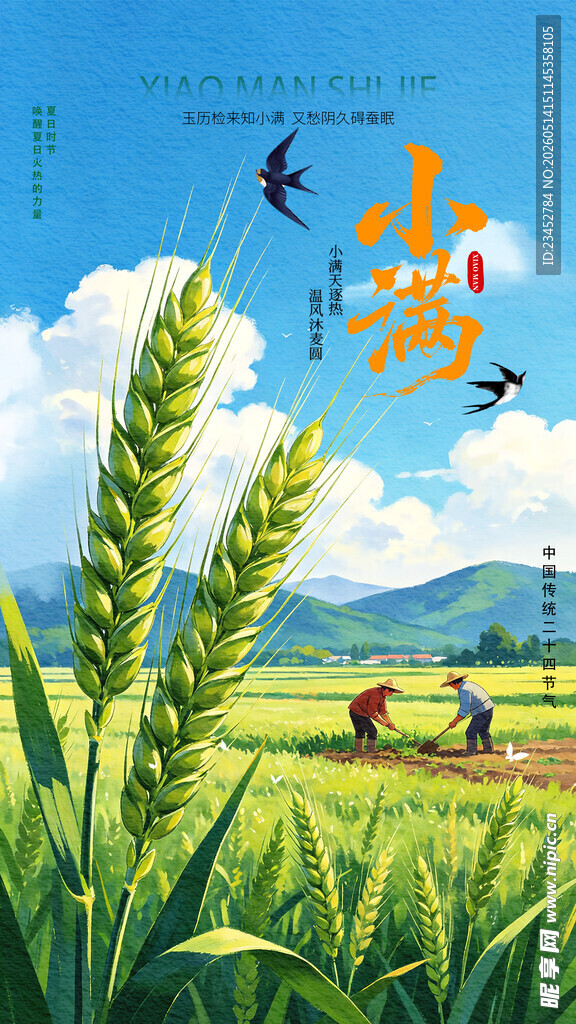 夏日稻田劳作图景