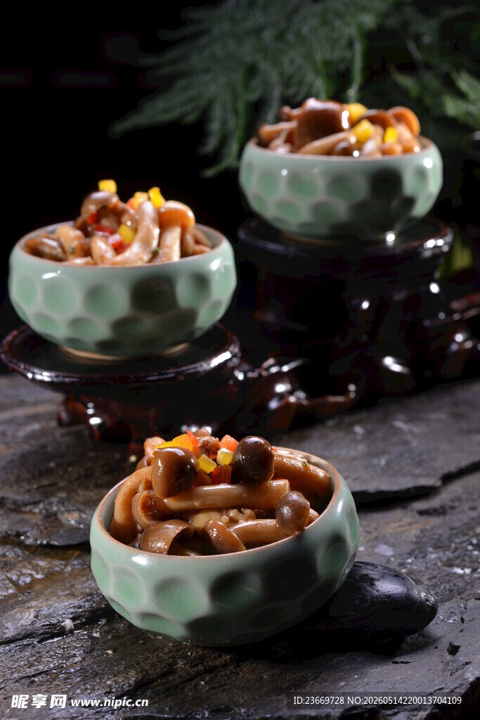 三碗美味野菌摆于石上