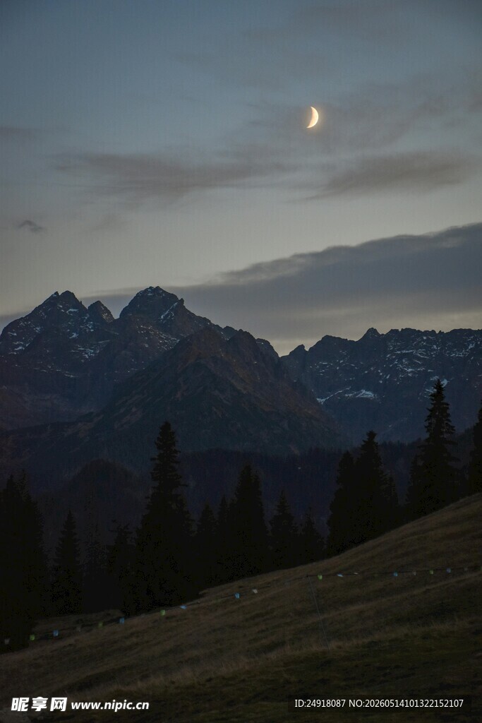 月夜下的山峦与松林