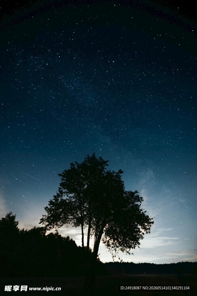 夜空下的孤树