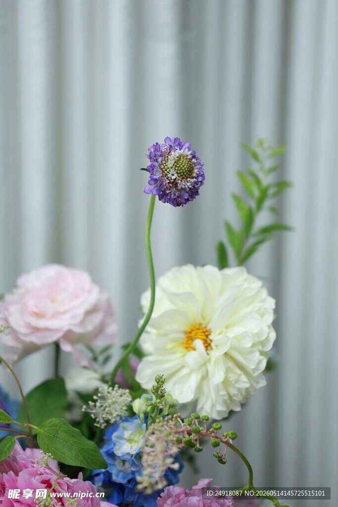多彩鲜花组合