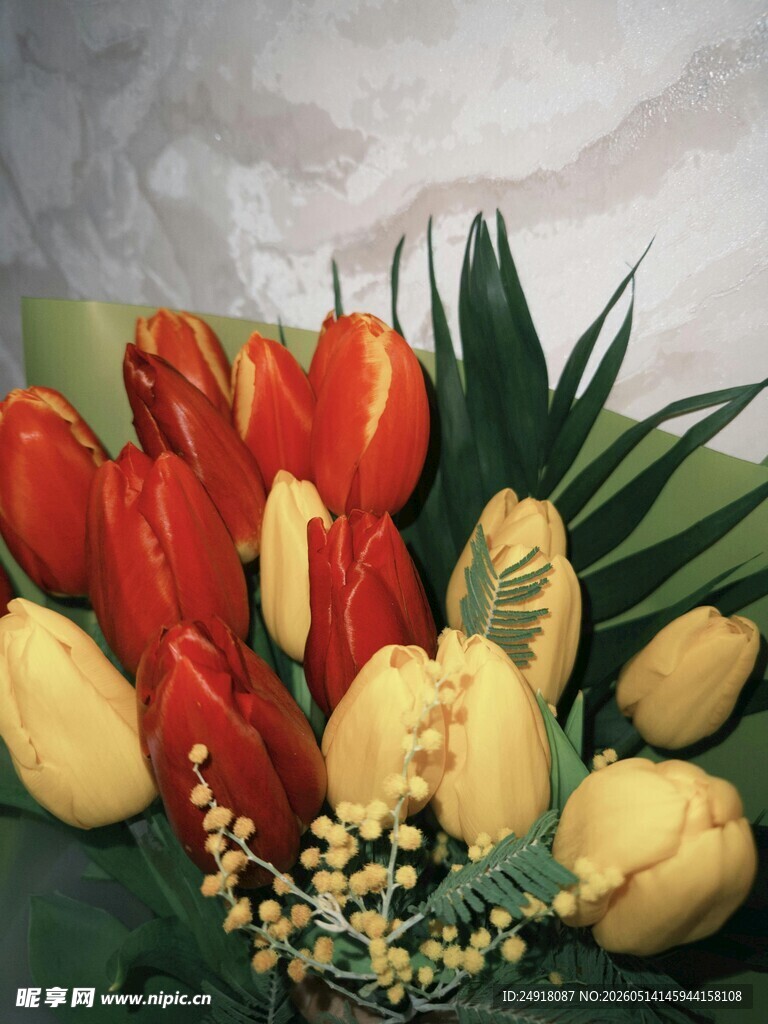 多彩郁金香花卉静物图