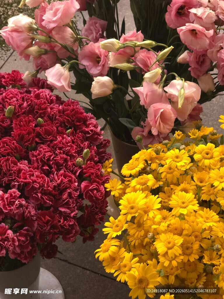 多彩鲜花组合