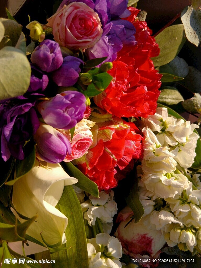 多彩鲜花组合