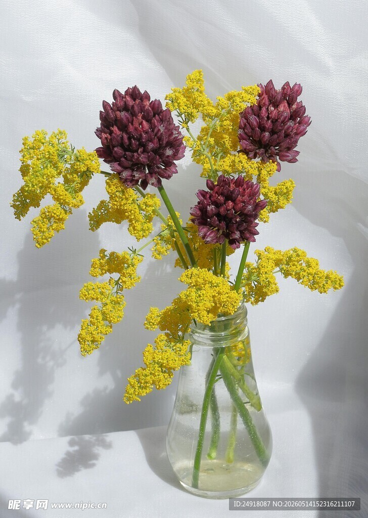 花瓶中的黄紫干花组合
