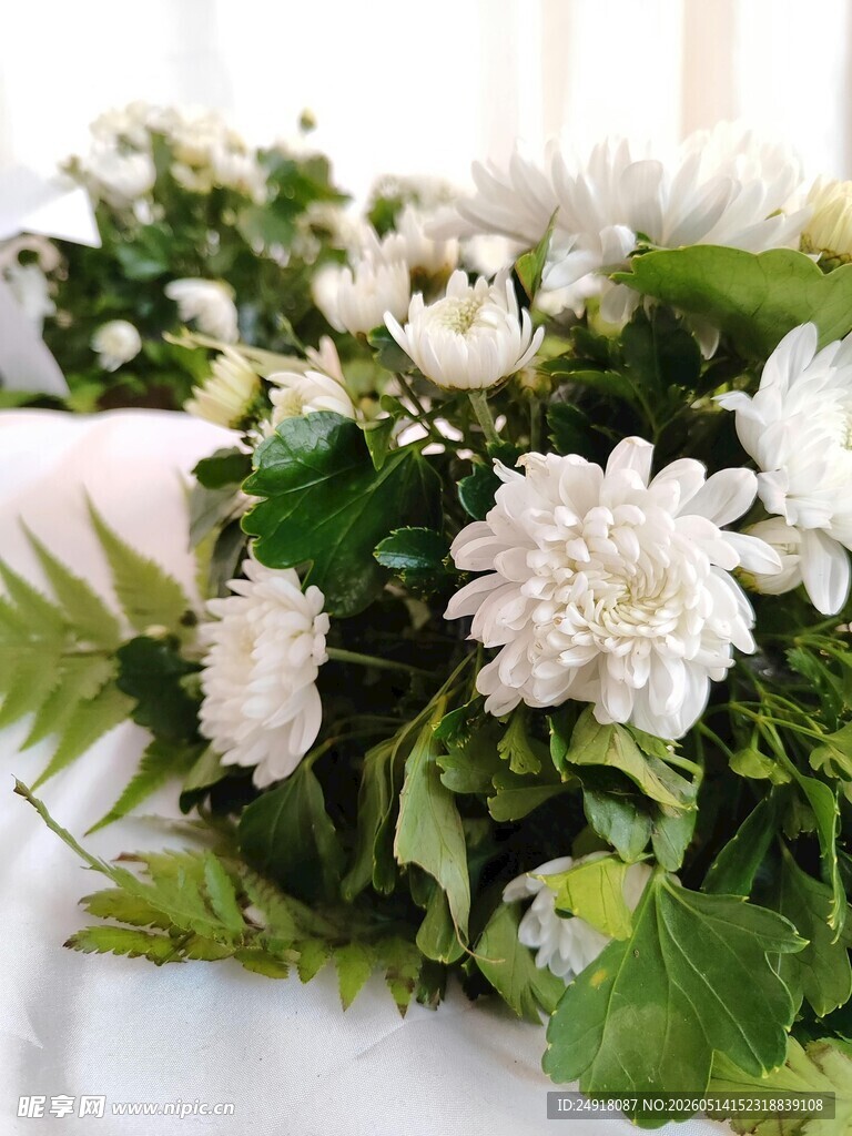 白色花卉绿植精致组合